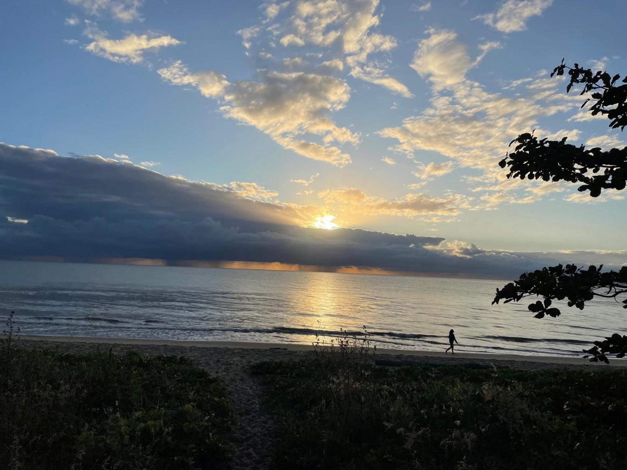 The York Beachfront Holiday Apartments Yorkeys Knob Екстериор снимка